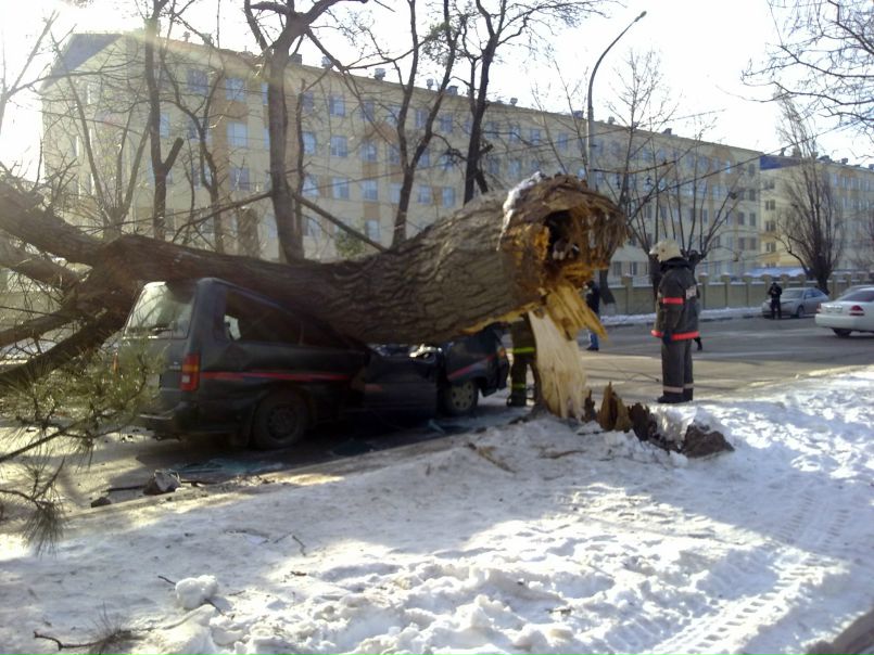 Дмитрий Дмитриев фото №7