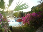 Just_ Me_angel фотография #13 (источник - https://vk.com/id79136792)