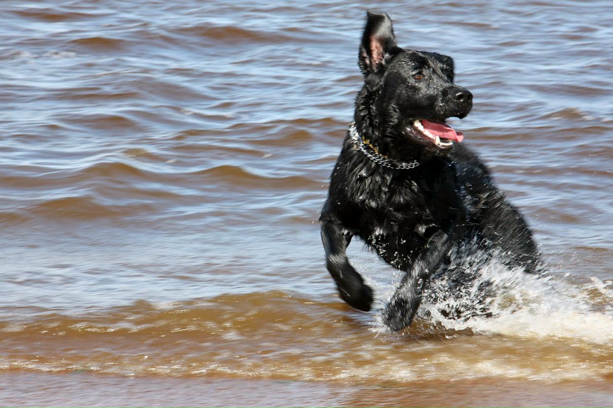 Даниил Сидоров фотография #39