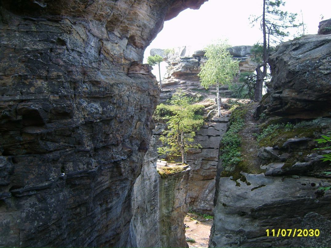 Евгений Трубицын фотография #19