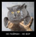 Володимир Іванець фотография #29 (источник - https://vk.com/id8035163)