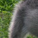 Наталя Кузів фотография #6 (источник - https://vk.com/id76628427)