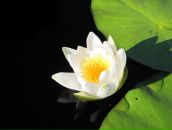 Фотография Андреева Юрия