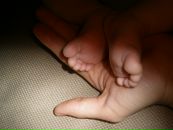 Светлана Чернова фотография #39 (источник - https://vk.com/id18383862)