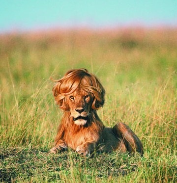 №16, Алина Кравец, Минск, Беларусь №16, Алина Кравец, Минск, Беларусь