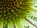 Іруся Боришкевич фотография #46 (источник - https://vk.com/id88408971)