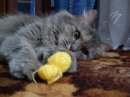 Віктор Копач фотография #47 (источник - https://vk.com/id21201666)