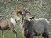 Игорь Бойко фотография #41 (источник - https://vk.com/id928577)