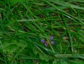 Ігор Файфурка фотография #23 (источник - https://vk.com/id25044635)