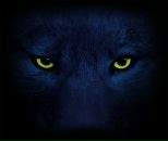 Фотография Пенькова Анжелика