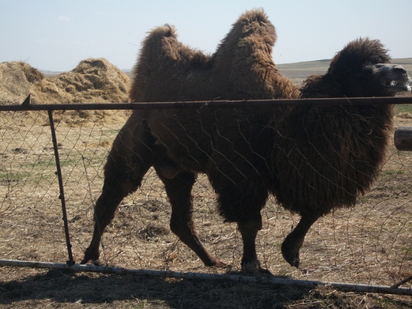 Иван Спирин фотография #19