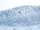 Фотография Жулаевой Инны
