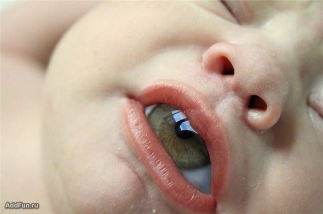 Дмитрий Батхилович фотография #17