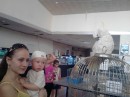 Інна Зеніна фотография #47 (источник - https://vk.com/id64031236)