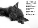 Машка Шімон фотография #43 (источник - https://vk.com/id41746374)