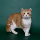 Фотография Воробьёвой Татьянки