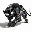 Фотография Степанова Александра