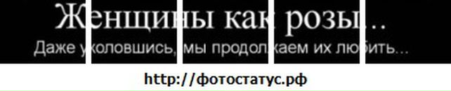 Вікторія Кузка фотография #21 (источник - https://vk.com/id134995571)