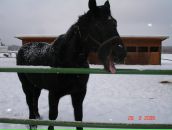 Фотография Аладьиной Татьяны