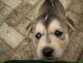 Фотография Migueiz Anna