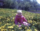 Сергій Мірков фотография #1