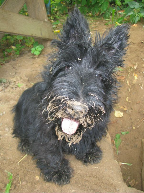 Ольга Бышенко фотография #31