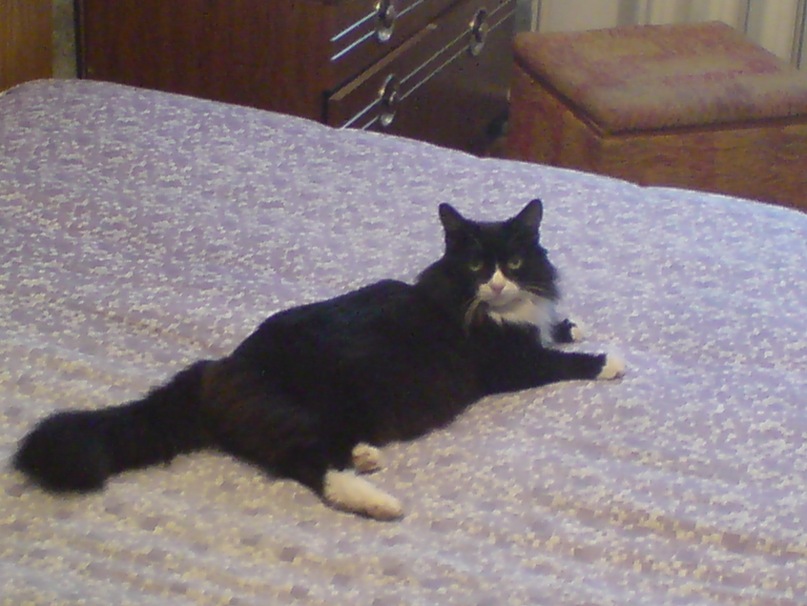 Иван Тит фотография #5