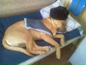 Фотография Митюкова Андрея