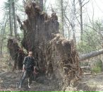 Фотография Мануковского Александра