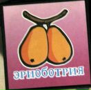 Фотография Гневушева Владимира