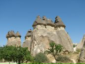 Яков Павлов фотография #8 (источник - https://vk.com/id853716)