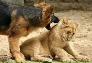 Іван Гонсевич фотография #16 (источник - https://vk.com/id133165502)