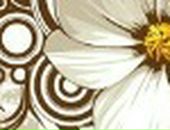 Міра Пецух фотография #8 (источник - https://vk.com/id106839476)