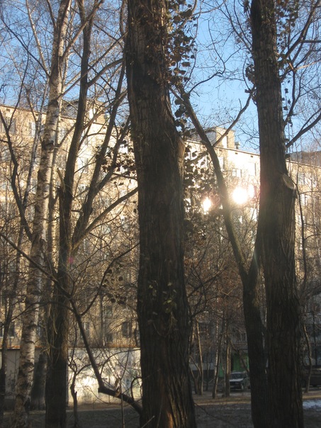 №5, Андрей Чистяков, Москва №5, Андрей Чистяков, Москва