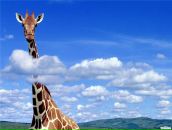 Фотография Рябцева Юлия