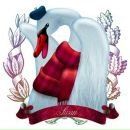 Maria Popova фотография #15 (источник - https://vk.com/id4723533)