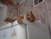 Фотография Фёдоровой Натальи