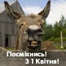 Сірожа Кислий фотография #22 (источник - https://vk.com/id134117501)