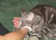 Фотография Родионовой Дарьи