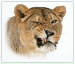 Юра Ільчишин фотография #2 (источник - https://vk.com/id102127066)