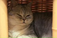 Фотография Пивоваровой Лены