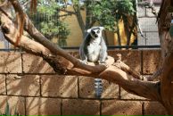 Фотография Гагариной Ани