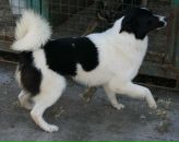 Der Stachel фотография #13 (источник - https://vk.com/id480429)