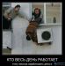  фотография #45