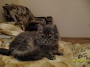 Діануся Демянець фотография #8 (источник - https://vk.com/id159950019)
