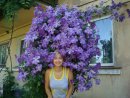 Єлизавета Павлий фотография #2 (источник - https://vk.com/id79203848)