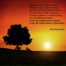 Ірина Новожилова фотография #3 (источник - https://vk.com/id112107607)