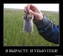 Ромиии Шех фотография #24 (источник - https://vk.com/id703762)