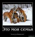 Іллья Васькевич фотография #37 (источник - https://vk.com/id69075319)