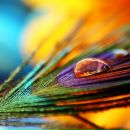 Фотография Ереминой Анны